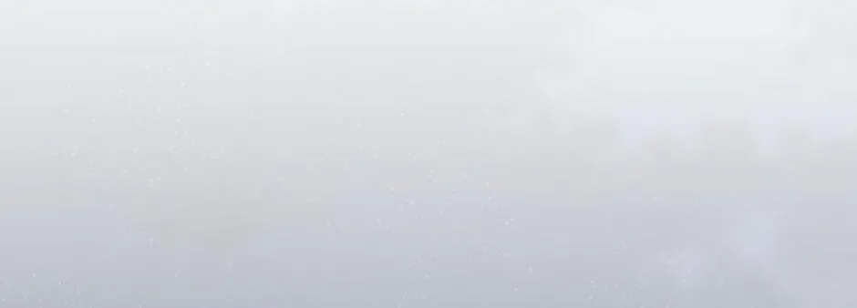 Navi