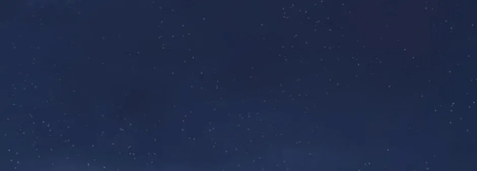Navi