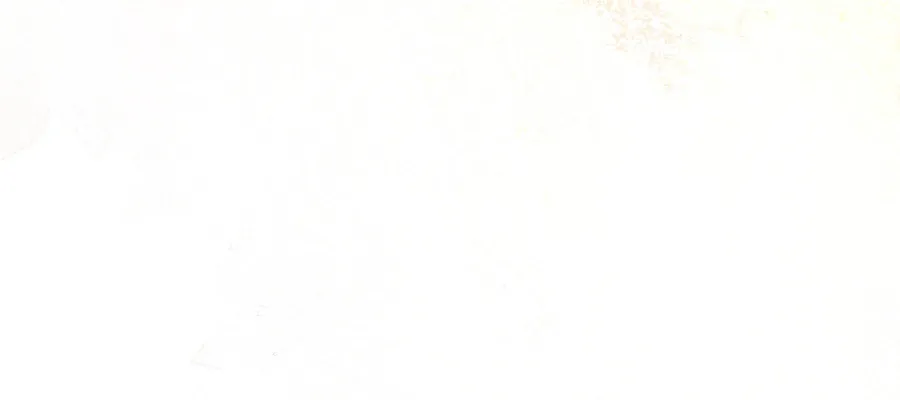Navi