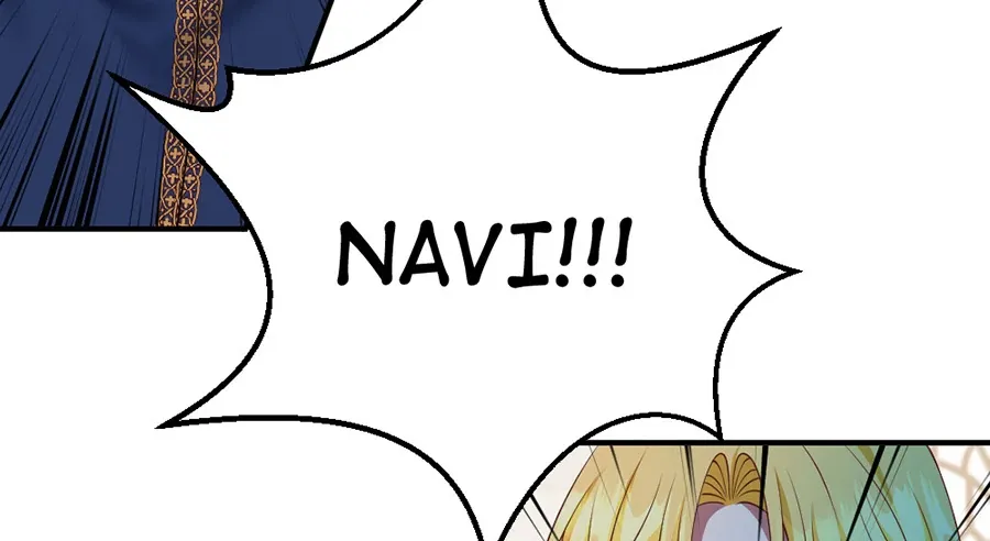 Navi