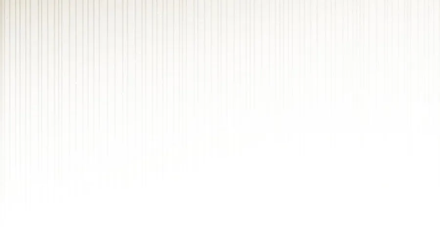 Navi