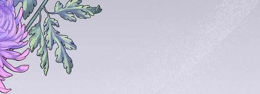 Navi
