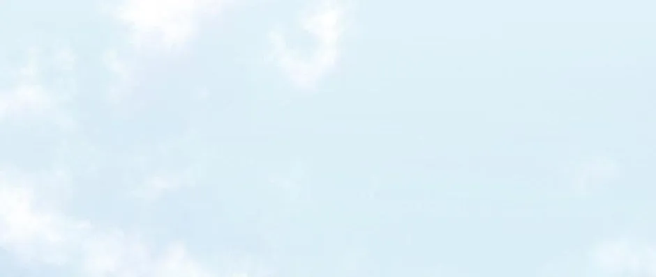 Navi