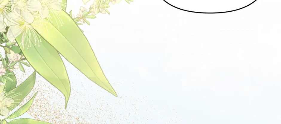 Navi