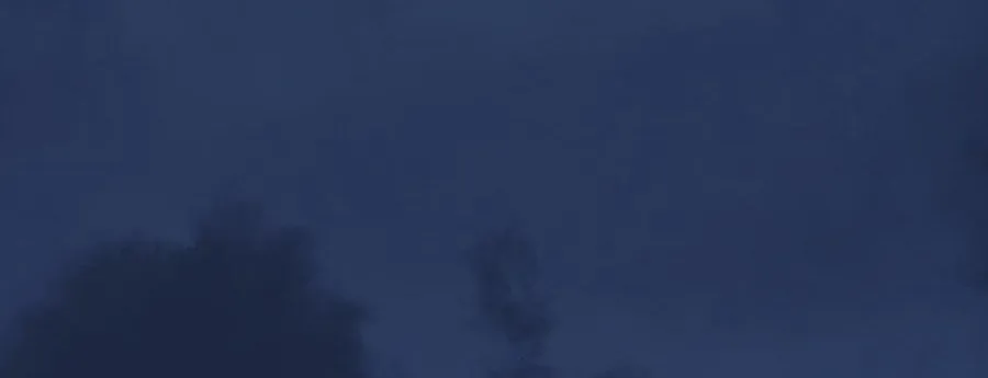 Navi
