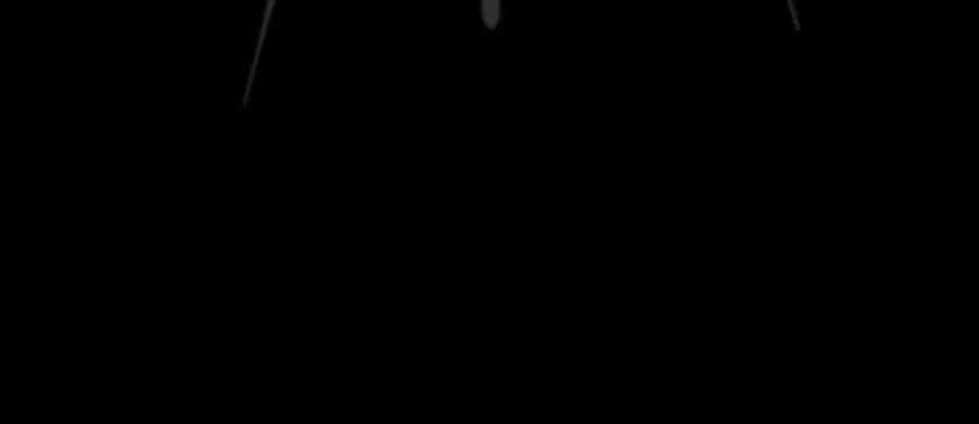 Navi