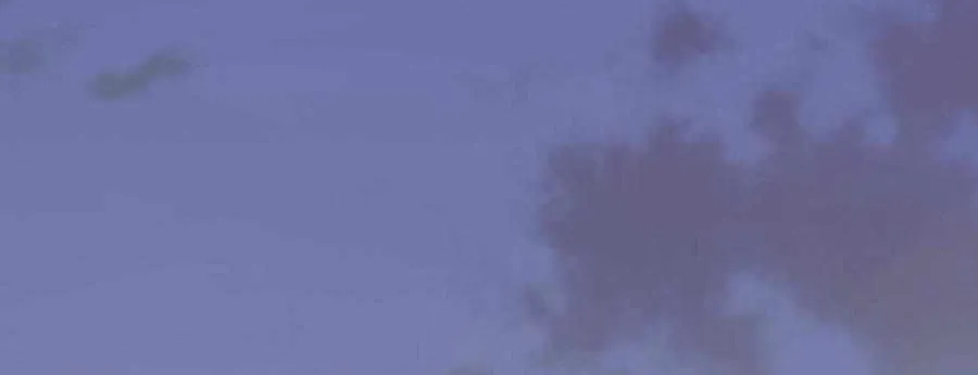 Navi