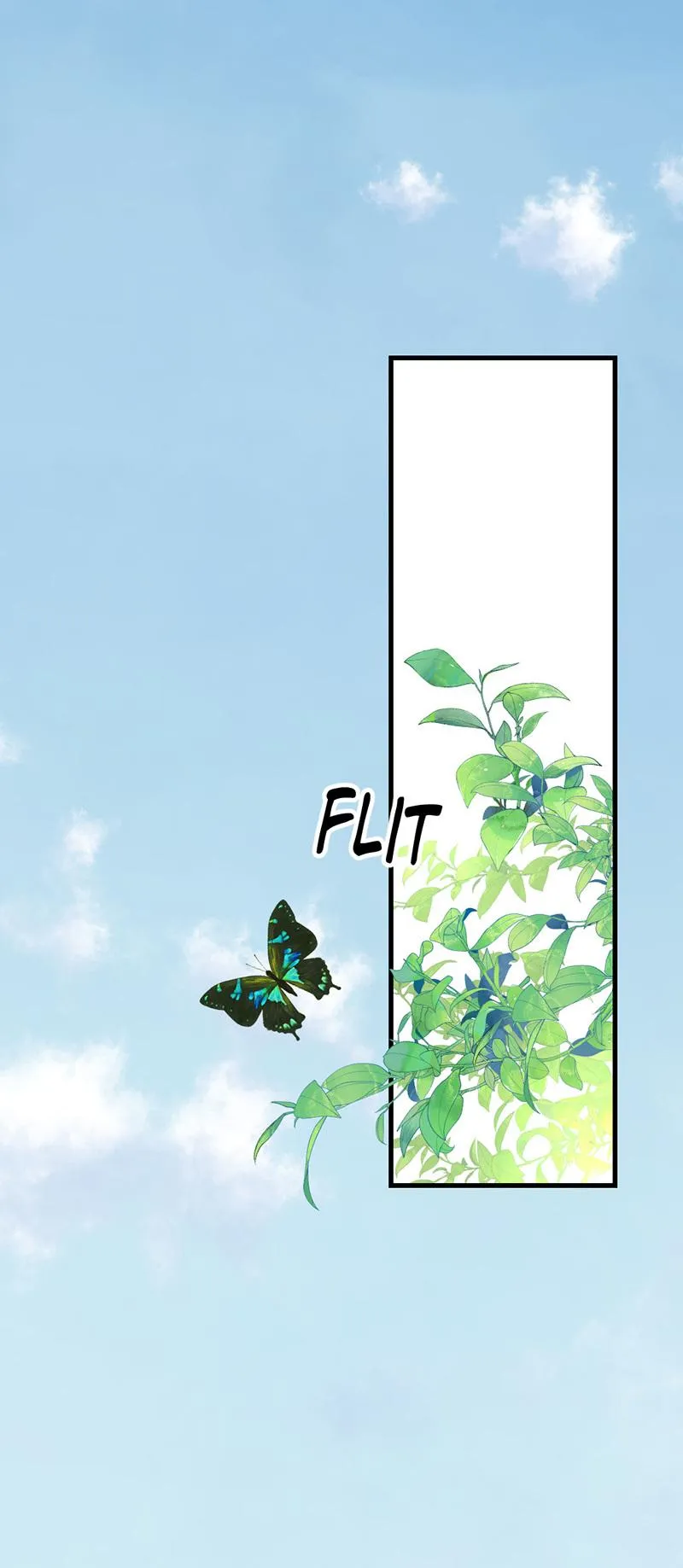 Navi