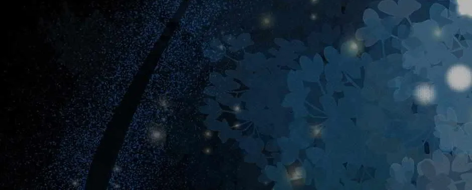 Navi