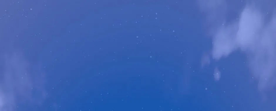 Navi