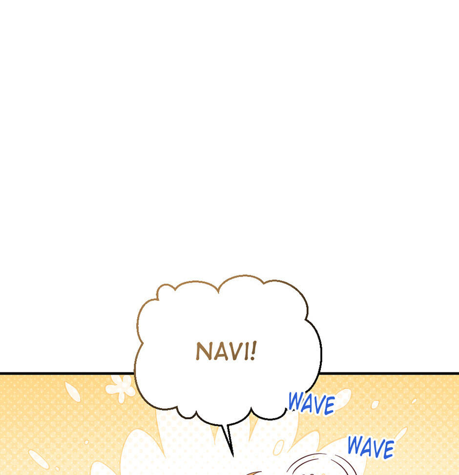 Navi