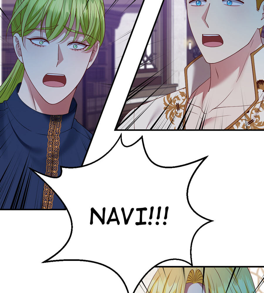 Navi