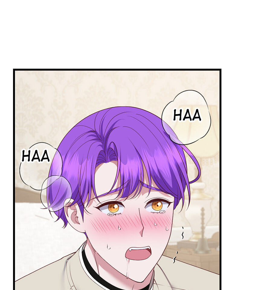Navi