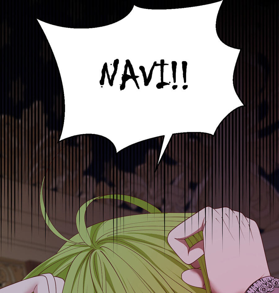 Navi