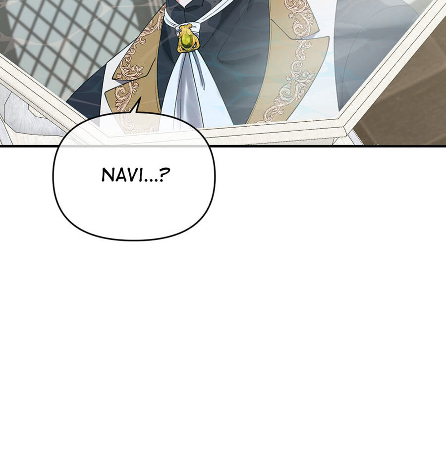 Navi