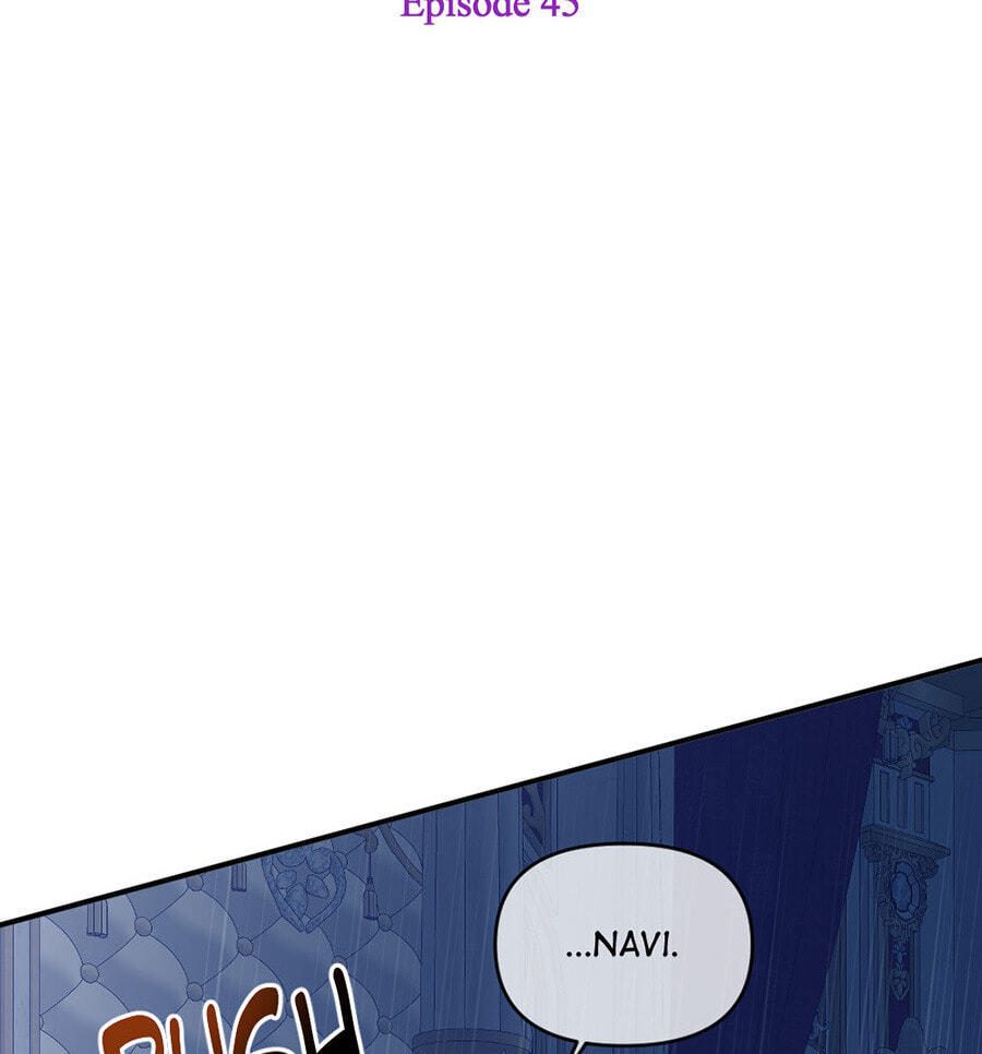 Navi