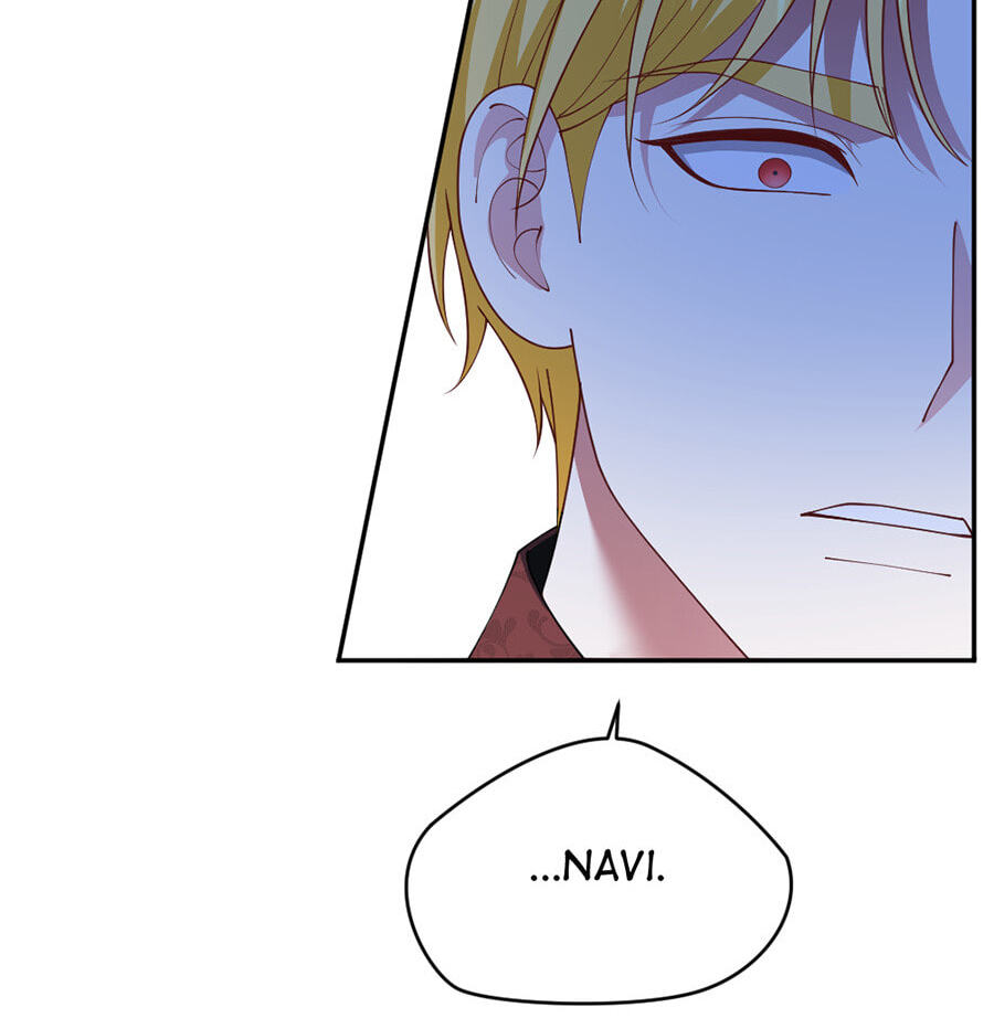 Navi