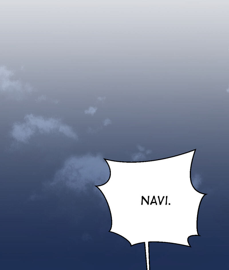 Navi