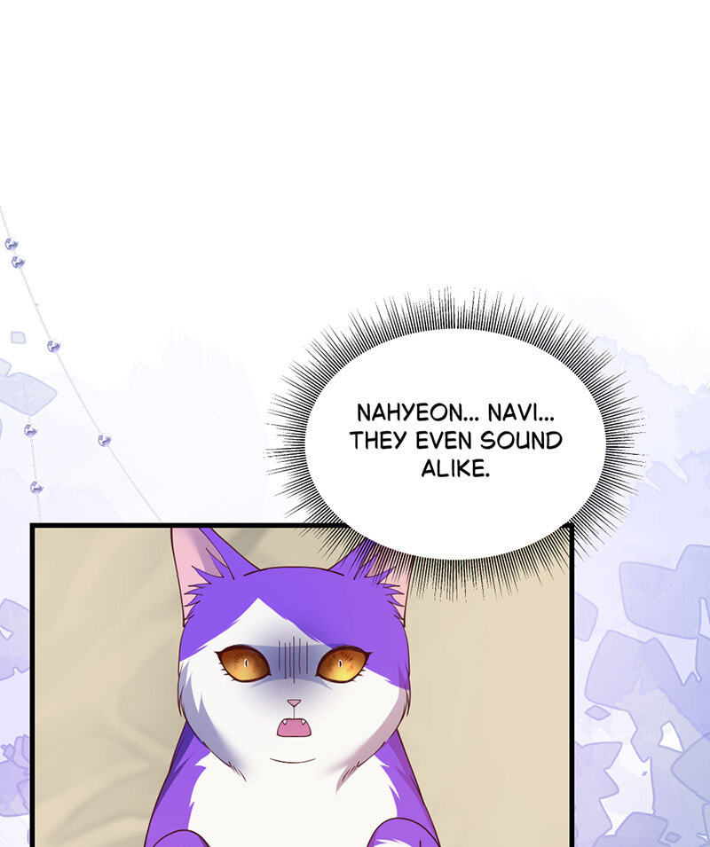 Navi