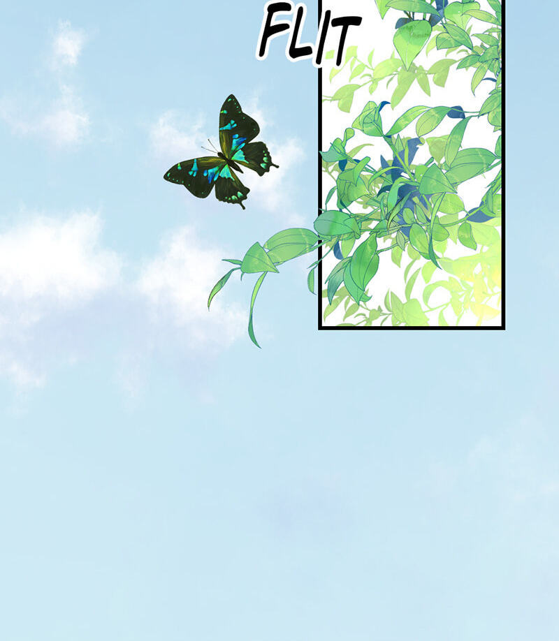 Navi