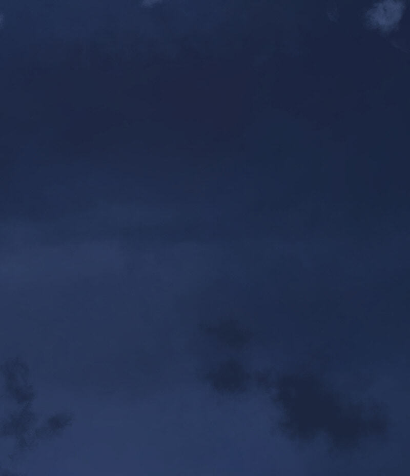 Navi