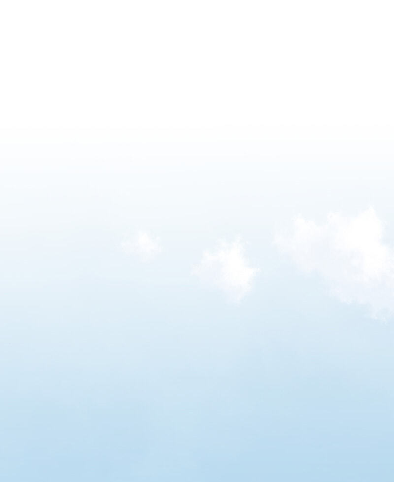 Navi