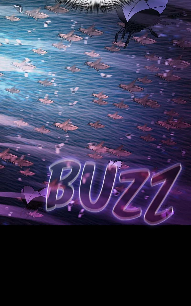 Nebula