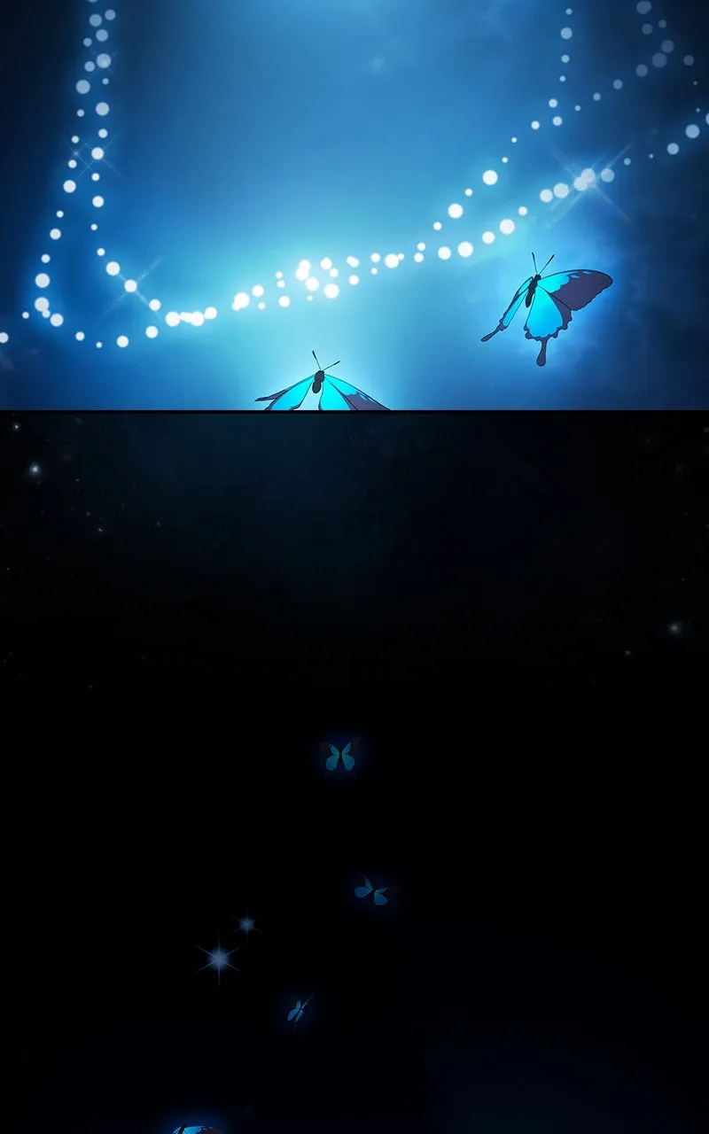 Nebula
