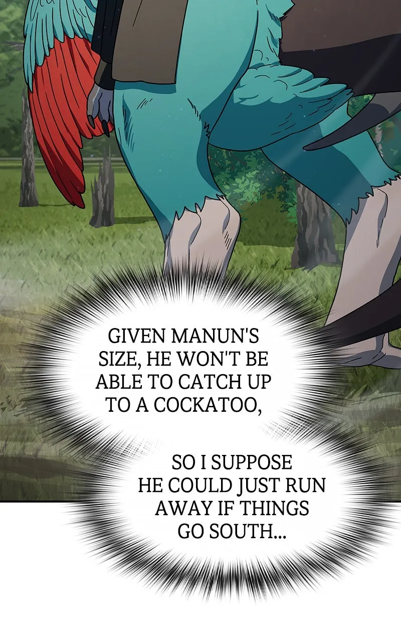 Nebula