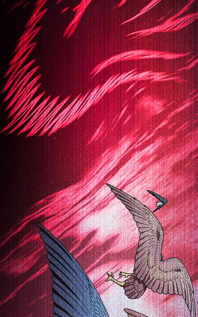 Nebula