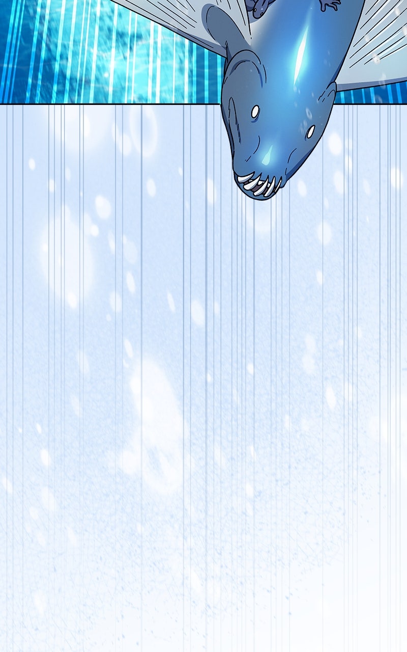 Nebula