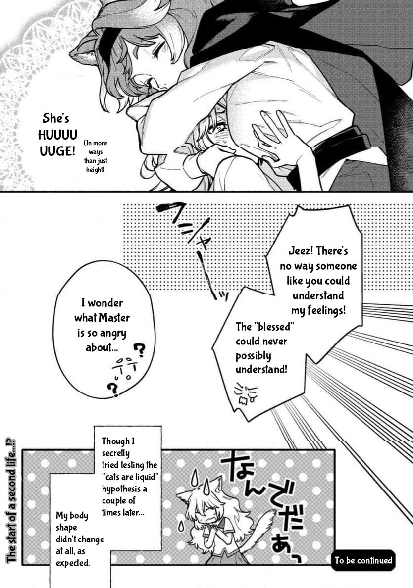 Neko Mahou ga Sekai ni Kakumei wo Okosu sou desu yo? Chapter 2.2 page 17 - 