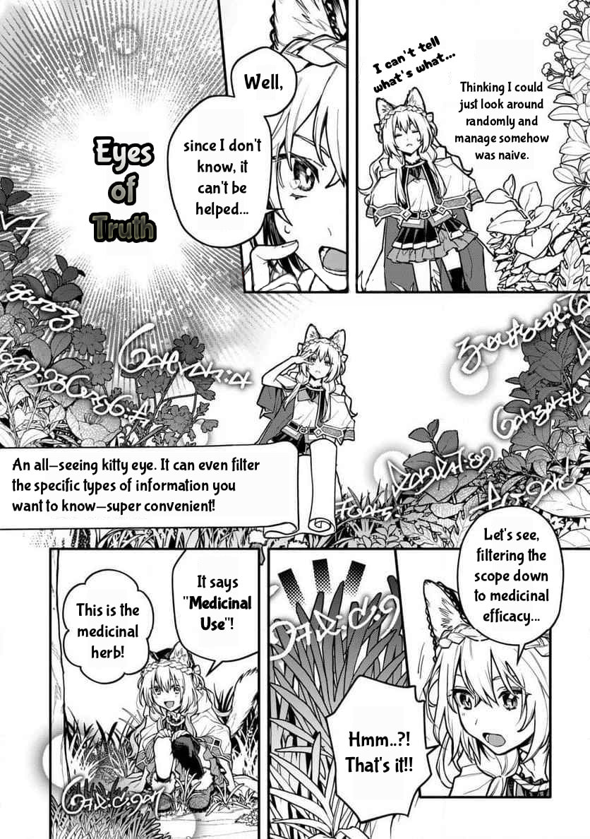 Neko Mahou ga Sekai ni Kakumei wo Okosu sou desu yo? Chapter 8 page 21 - 