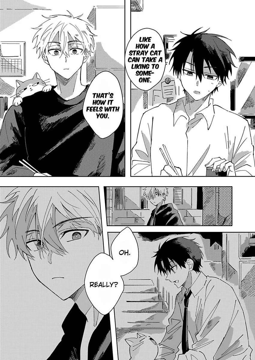 Neko no Tsuide ni Otoko wo Hiroimashita Chapter 2 page 7 - 