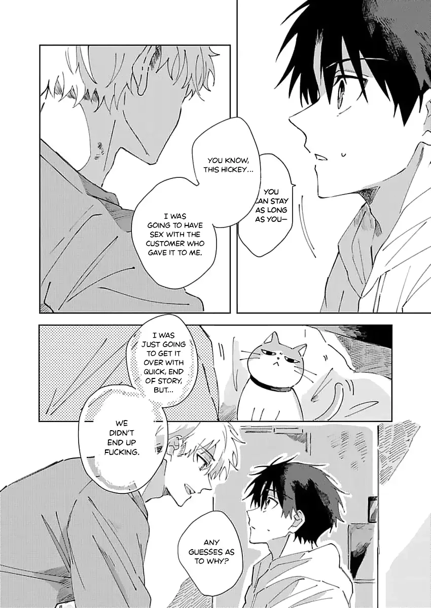 Neko no Tsuide ni Otoko wo Hiroimashita Chapter 3 page 8 - 