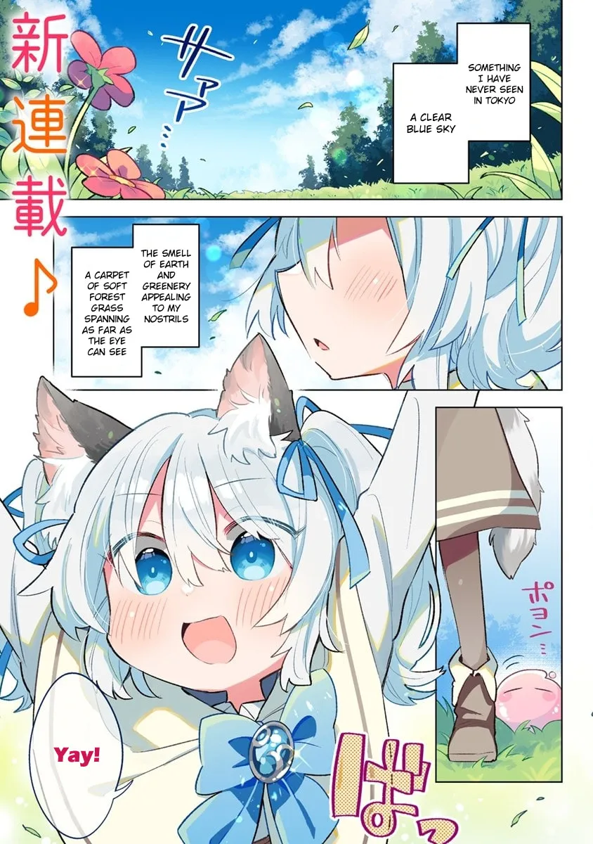 Nekomimi Shoujo wa Mori de Slow Life wo Okuritai: Mofumofu wa Shomou Shimashita ga, Seijo to ka Ouji-sama to ka wa Chuumongai desu Chapter 1 page 1 - 