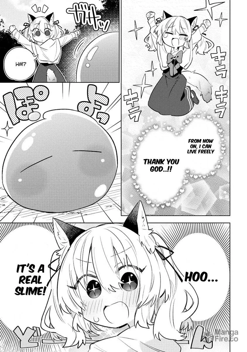 Nekomimi Shoujo wa Mori de Slow Life wo Okuritai: Mofumofu wa Shomou Shimashita ga, Seijo to ka Ouji-sama to ka wa Chuumongai desu Chapter 1 page 12 - 