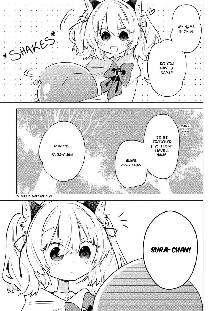 Nekomimi Shoujo wa Mori de Slow Life wo Okuritai: Mofumofu wa Shomou Shimashita ga, Seijo to ka Ouji-sama to ka wa Chuumongai desu Chapter 1 page 14 - 