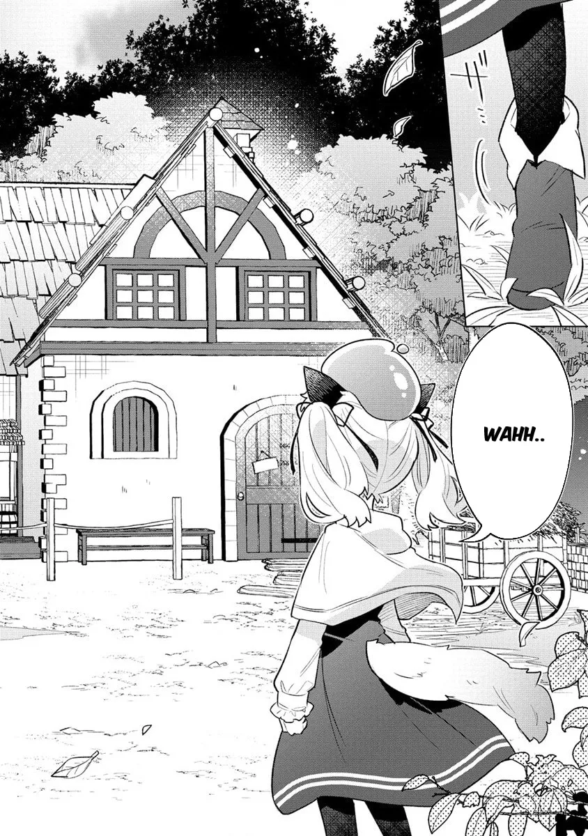 Nekomimi Shoujo wa Mori de Slow Life wo Okuritai: Mofumofu wa Shomou Shimashita ga, Seijo to ka Ouji-sama to ka wa Chuumongai desu Chapter 1 page 17 - 
