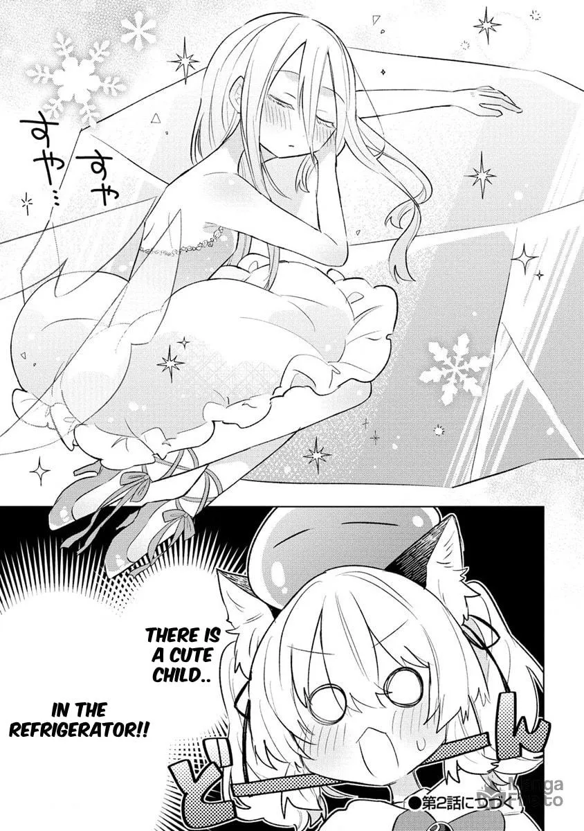 Nekomimi Shoujo wa Mori de Slow Life wo Okuritai: Mofumofu wa Shomou Shimashita ga, Seijo to ka Ouji-sama to ka wa Chuumongai desu Chapter 1 page 30 - 