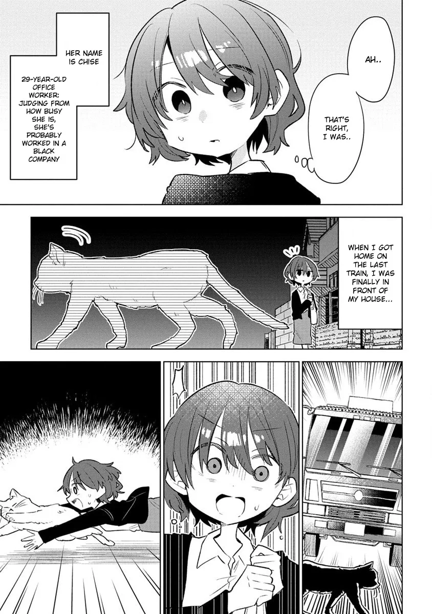 Nekomimi Shoujo wa Mori de Slow Life wo Okuritai: Mofumofu wa Shomou Shimashita ga, Seijo to ka Ouji-sama to ka wa Chuumongai desu Chapter 1 page 4 - 