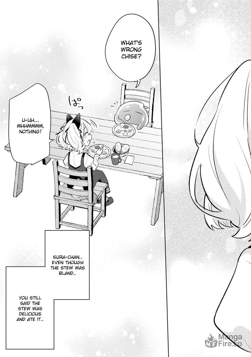 Nekomimi Shoujo wa Mori de Slow Life wo Okuritai: Mofumofu wa Shomou Shimashita ga, Seijo to ka Ouji-sama to ka wa Chuumongai desu Chapter 2 page 21 - 