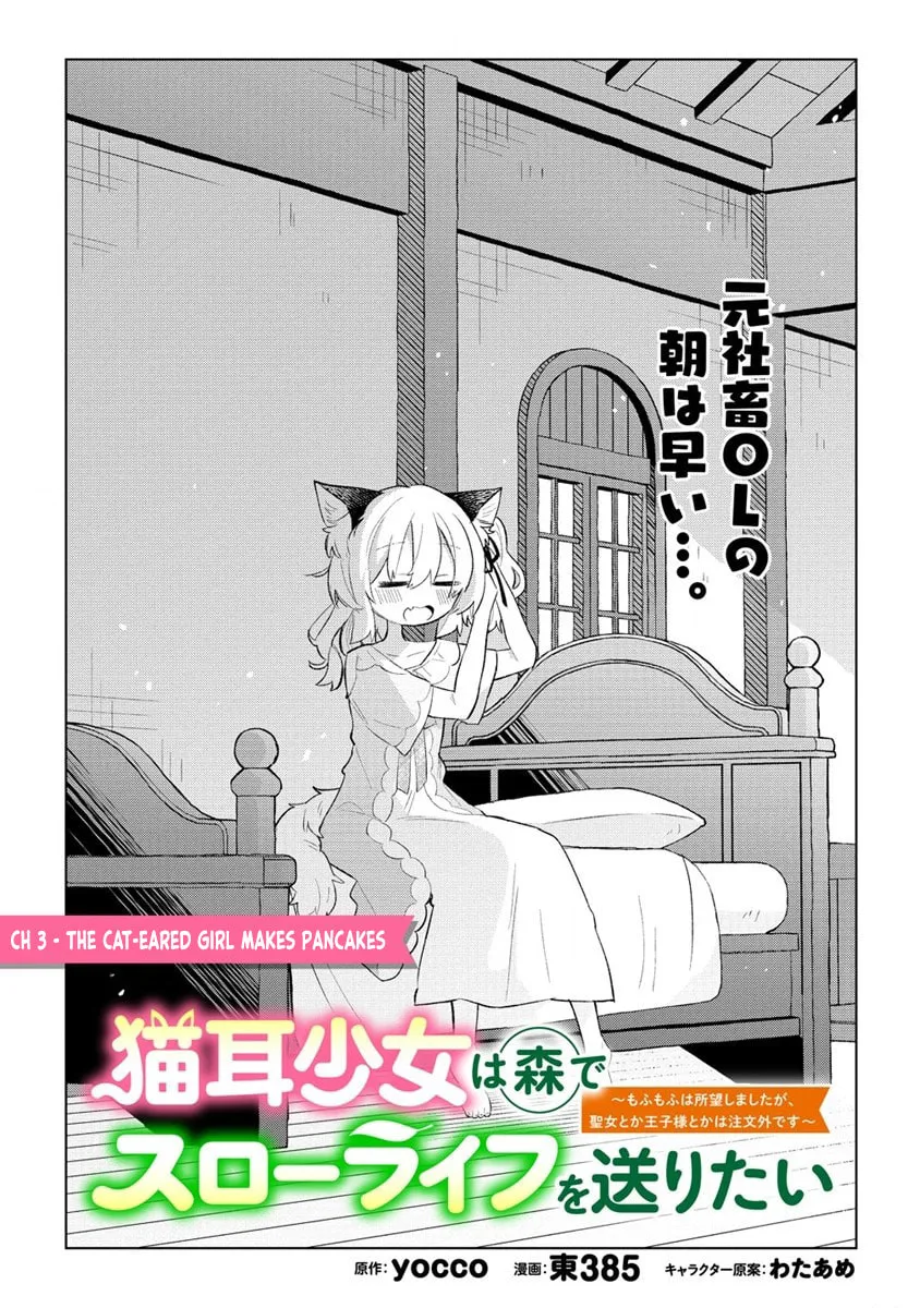 Nekomimi Shoujo wa Mori de Slow Life wo Okuritai: Mofumofu wa Shomou Shimashita ga, Seijo to ka Ouji-sama to ka wa Chuumongai desu Chapter 3 page 2 - 