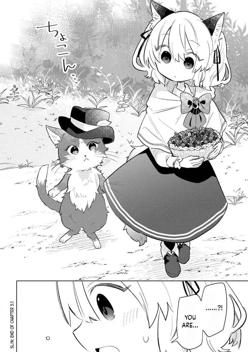 Nekomimi Shoujo wa Mori de Slow Life wo Okuritai: Mofumofu wa Shomou Shimashita ga, Seijo to ka Ouji-sama to ka wa Chuumongai desu Chapter 3 page 13 - 