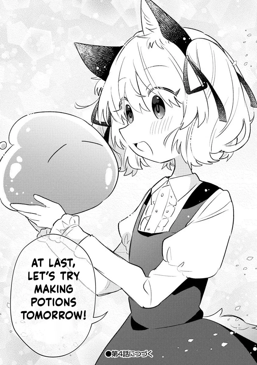 Nekomimi Shoujo wa Mori de Slow Life wo Okuritai: Mofumofu wa Shomou Shimashita ga, Seijo to ka Ouji-sama to ka wa Chuumongai desu Chapter 3 page 28 - 