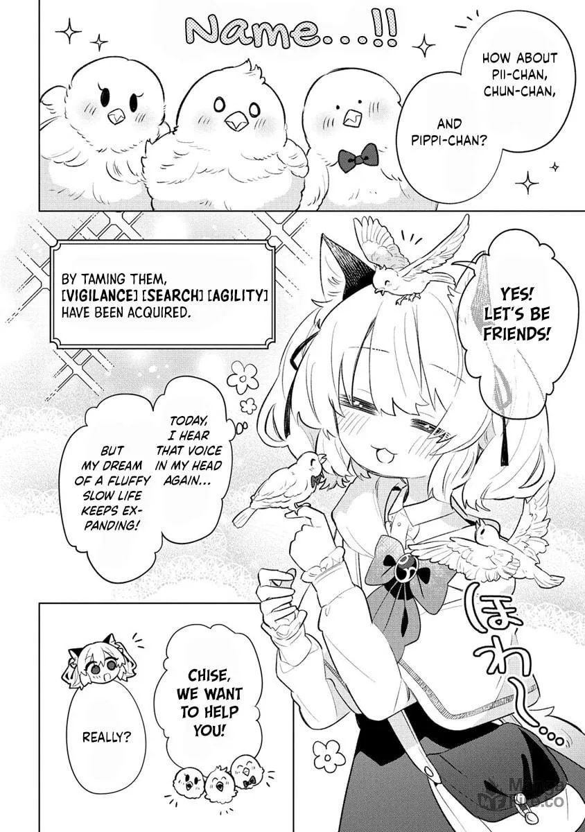 Nekomimi Shoujo wa Mori de Slow Life wo Okuritai: Mofumofu wa Shomou Shimashita ga, Seijo to ka Ouji-sama to ka wa Chuumongai desu Chapter 3 page 5 - 