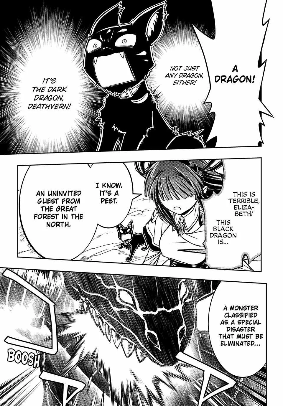 Nengan no Akuyaku Reijou Chapter 20 page 13 - 
