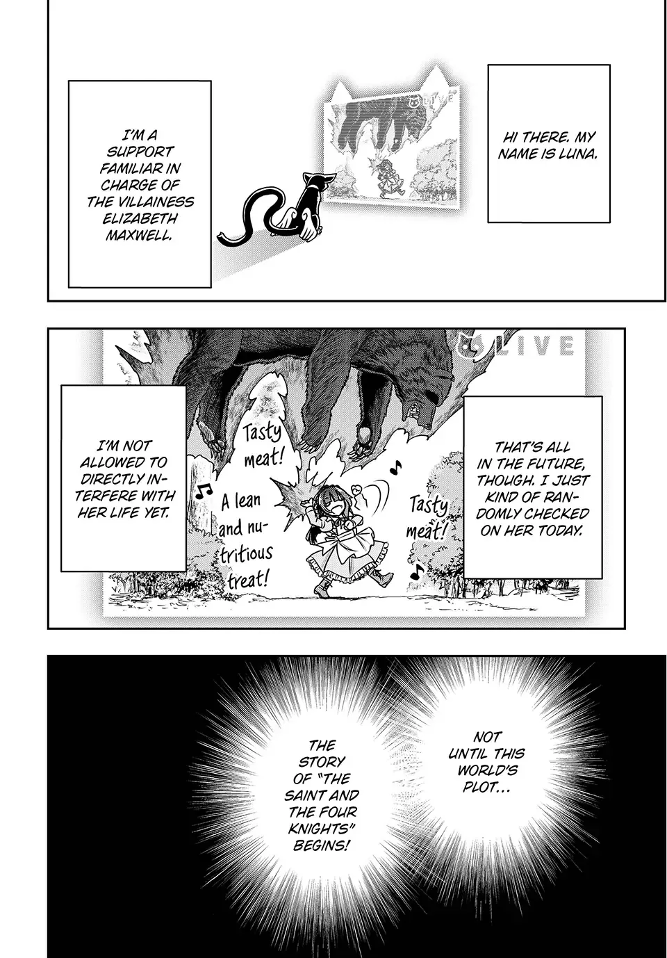 Nengan no Akuyaku Reijou Chapter 3 page 10 - 