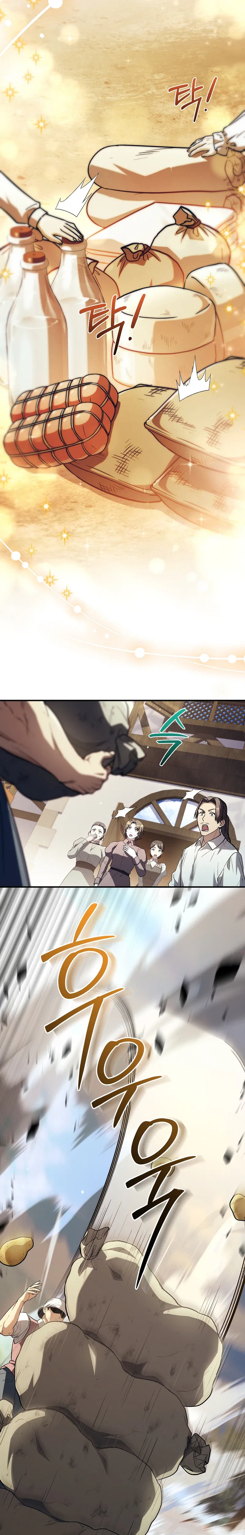 Never Mind the Heir, I’ll Focus on Healing Chapter 10 page 21 - 