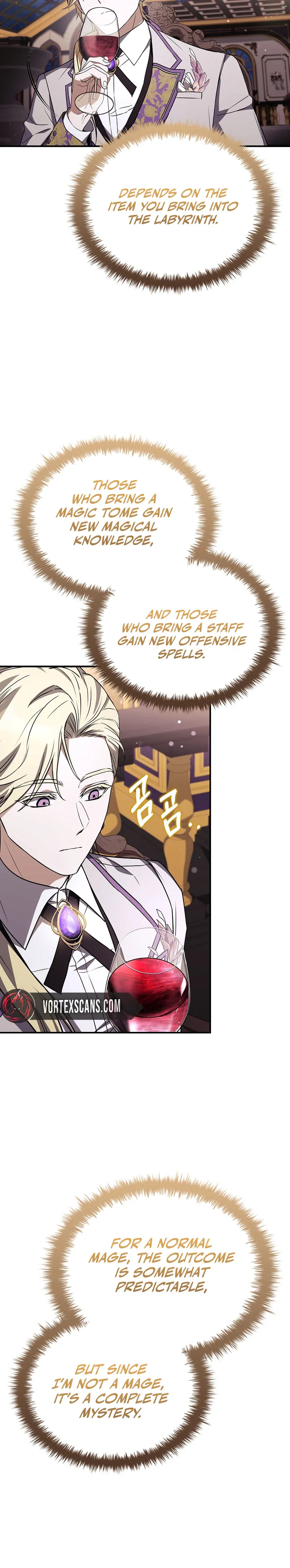 Never Mind the Heir, I’ll Focus on Healing Chapter 18 page 33 - 